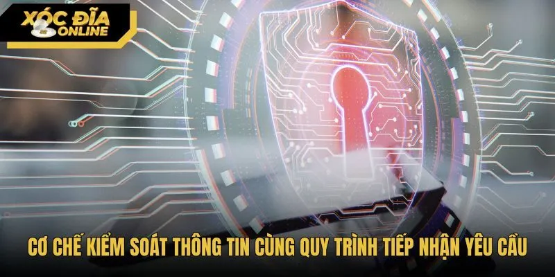 Quy trình thực thi quyền riêng tư và tiếp nhận yêu cầu