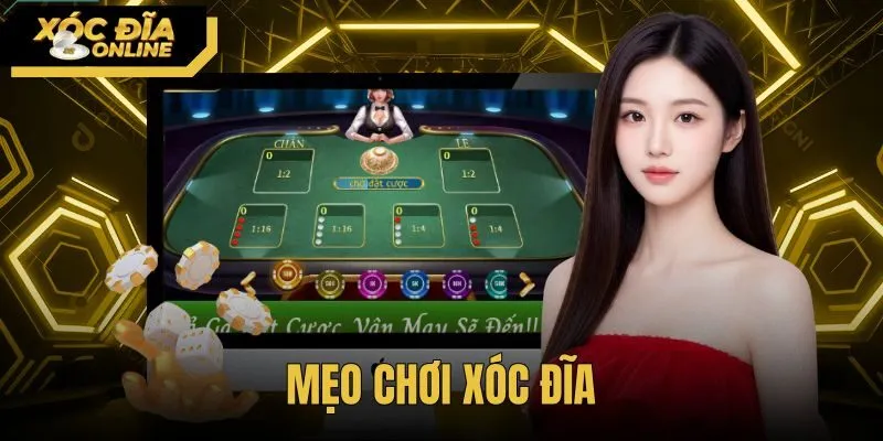 Mẹo Chơi Xóc Đĩa Khoa Học - 3 Quy Tắc Giữ Tiền An Toàn