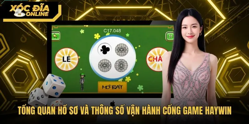Thông số vận hành cùng cơ chế bảo mật cổng game Haywin