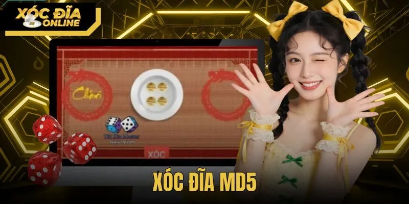 Xóc Đĩa MD5 - Thuật Toán Hàm Băm Và Quy Trình Đối Soát